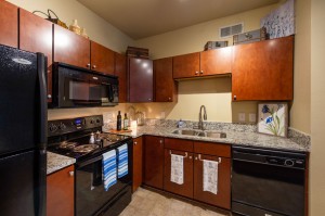 Two Bedroom Apartments for Rent in Conroe, TX - Model Kitchen  